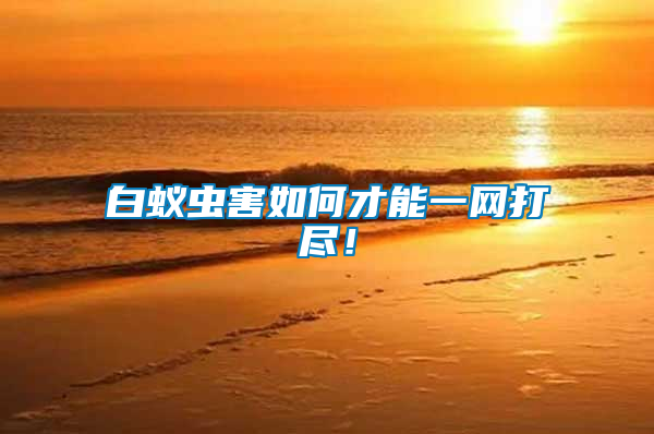 白蟻蟲害如何才能一網(wǎng)打盡！