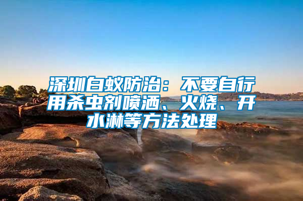 深圳白蟻防治：不要自行用殺蟲劑噴灑、火燒、開水淋等方法處理