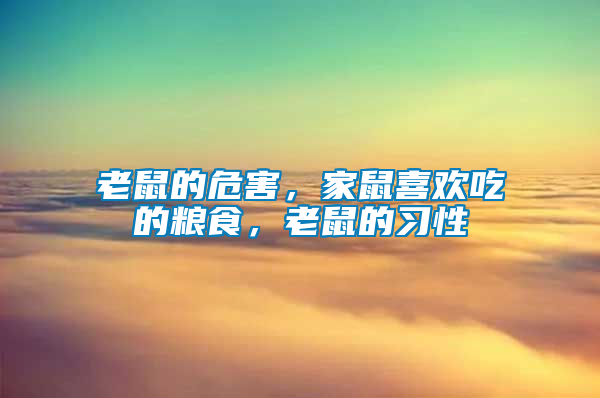老鼠的危害，家鼠喜歡吃的糧食，老鼠的習性