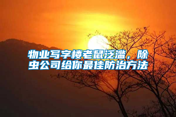 物業寫字樓老鼠泛濫，除蟲公司給你最佳防治方法