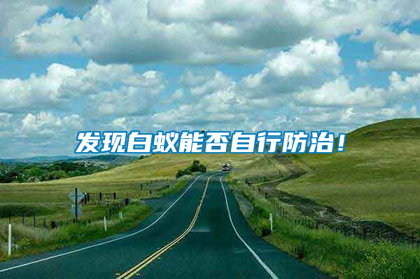 發現白蟻能否自行防治！