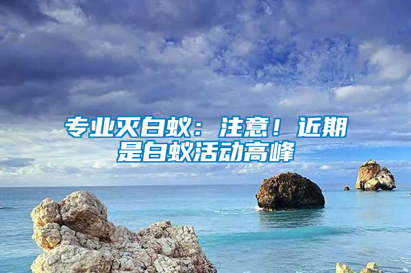 專業滅白蟻：注意！近期是白蟻活動高峰