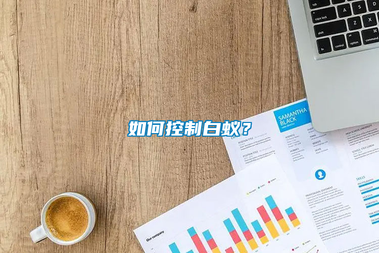 如何控制白蟻？