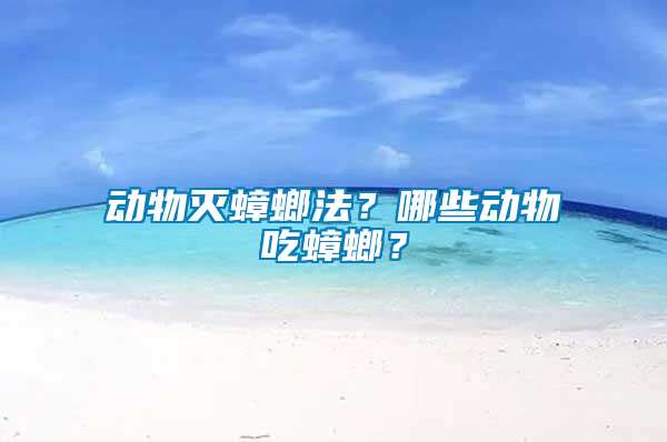 動物滅蟑螂法？哪些動物吃蟑螂？