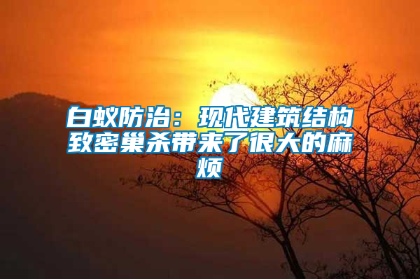 白蟻防治：現代建筑結構致密巢殺帶來了很大的麻煩